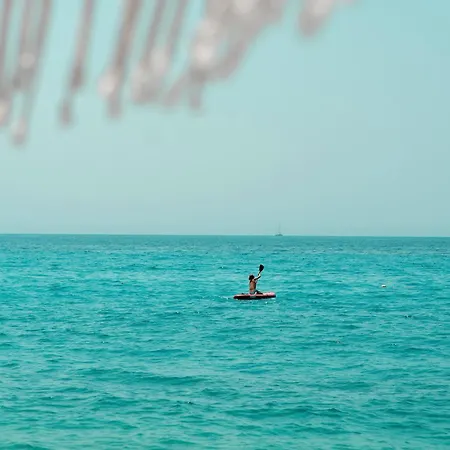 Palase Elite * 希马拉