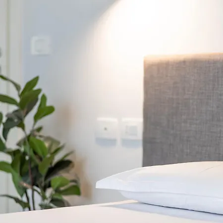 Palase Elite 希马拉