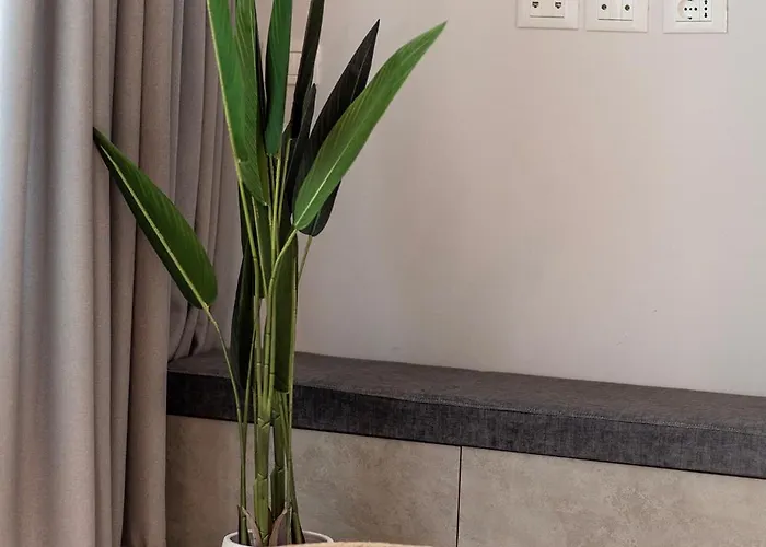 Palase Elite * Χειμάρρα