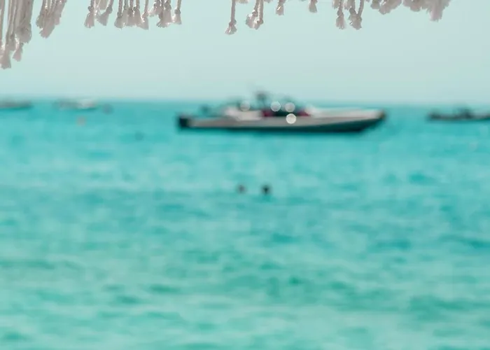 Palase Elite Willa Himara